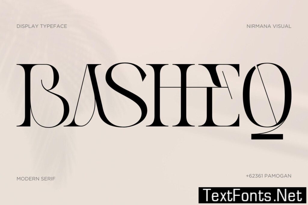 Basheq Vintage – Modern Serif Logo Font LP4P34F