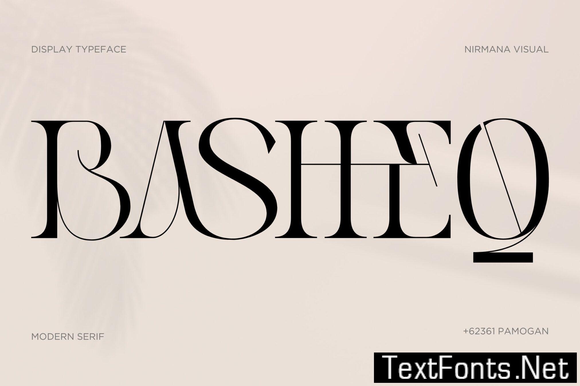 Basheq Vintage – Modern Serif Logo Font LP4P34F