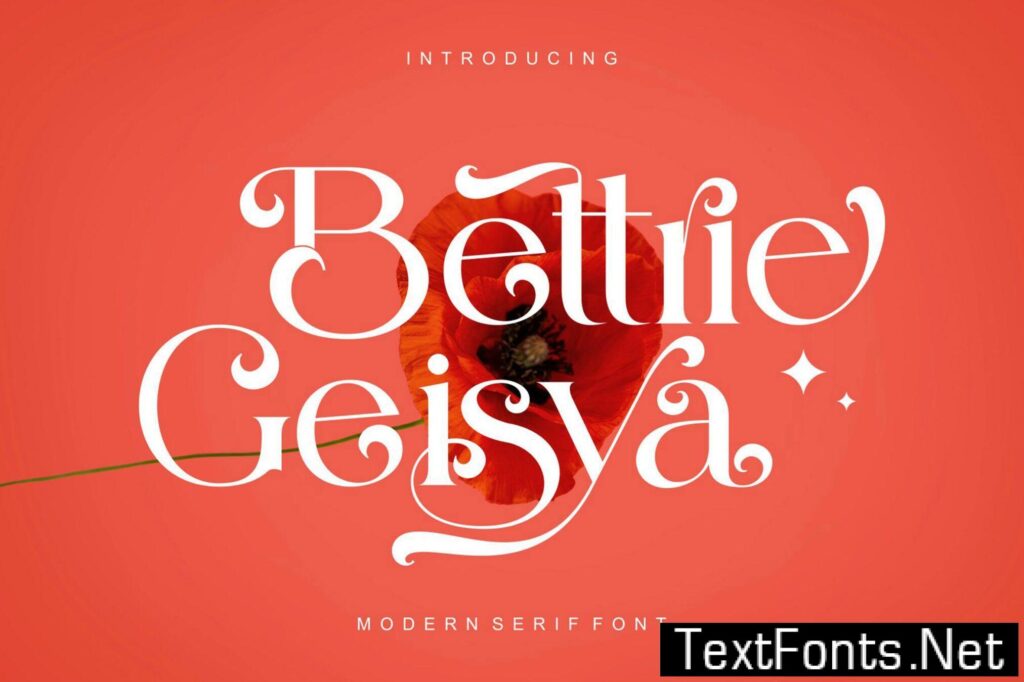 Bettrie Geisya Modern Serif Typeface 3PSME3X