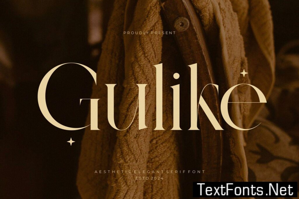 Gulike Aesthetic Elegant Serif Typeface A6B26R8