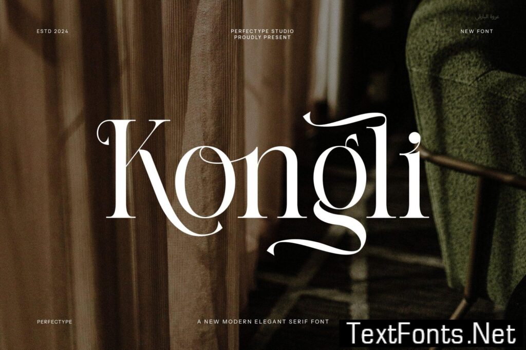 Kongli Modern Ligature Serif Font RLS5UVJ