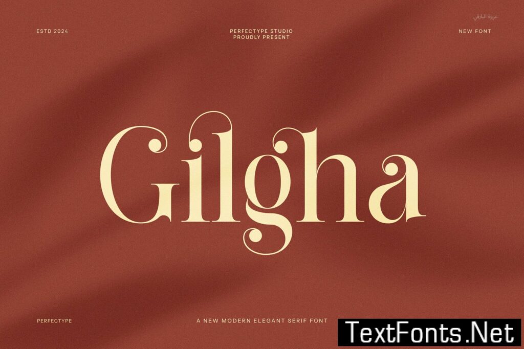 Gilgha Modern Serif Font 5T8X9D4