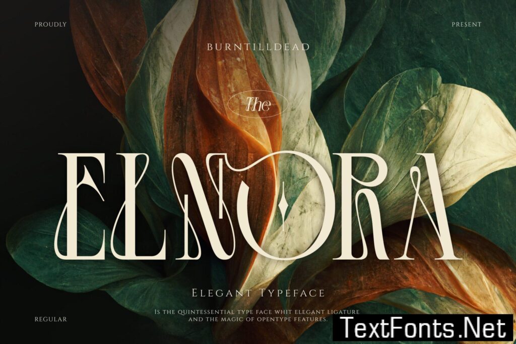 Elnora QQCNL7M