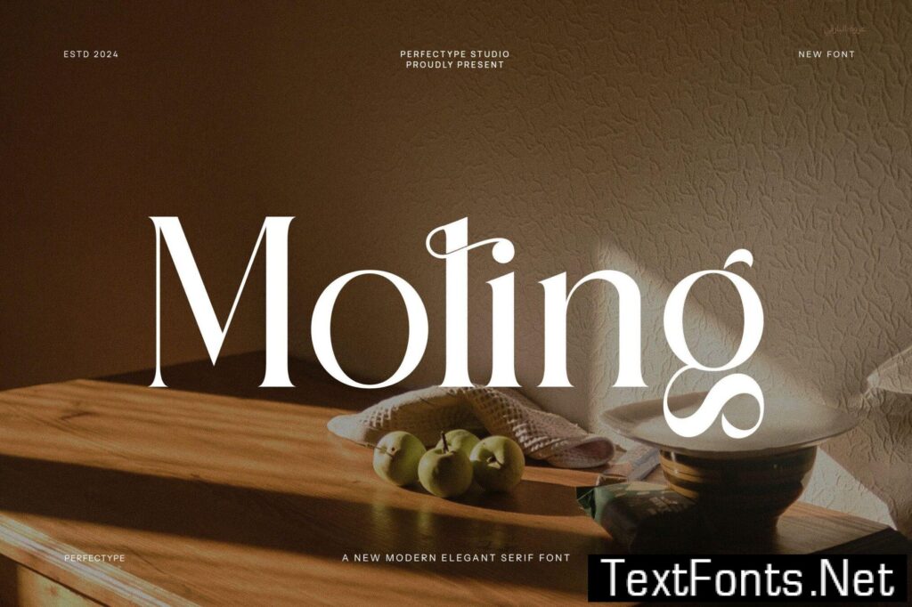 Moling Modern Serif Font 33FJYCF