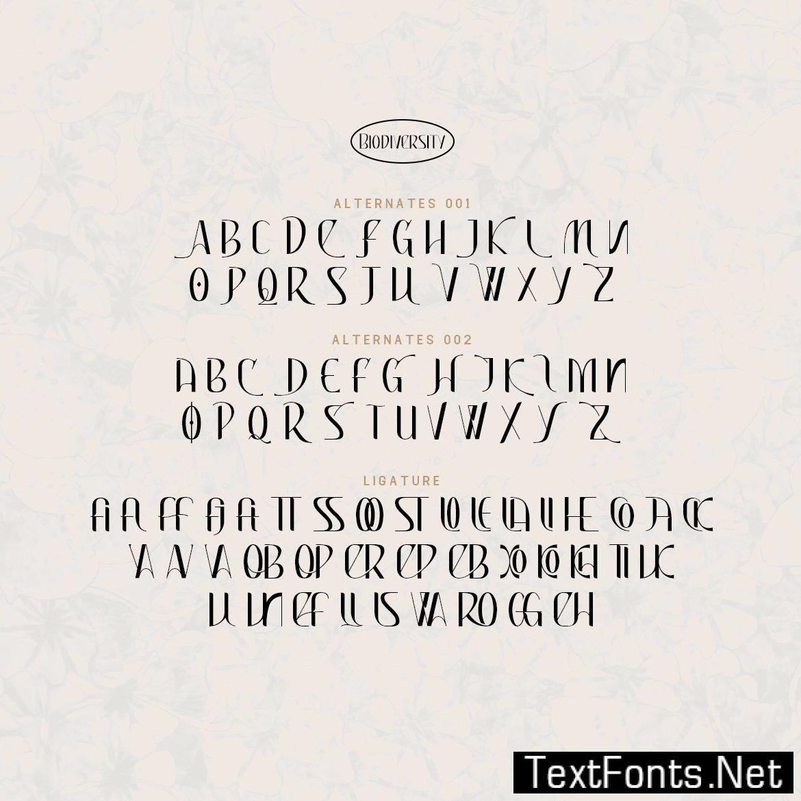 Biodiversity - A Modern Sans Serif Font AXERT8T