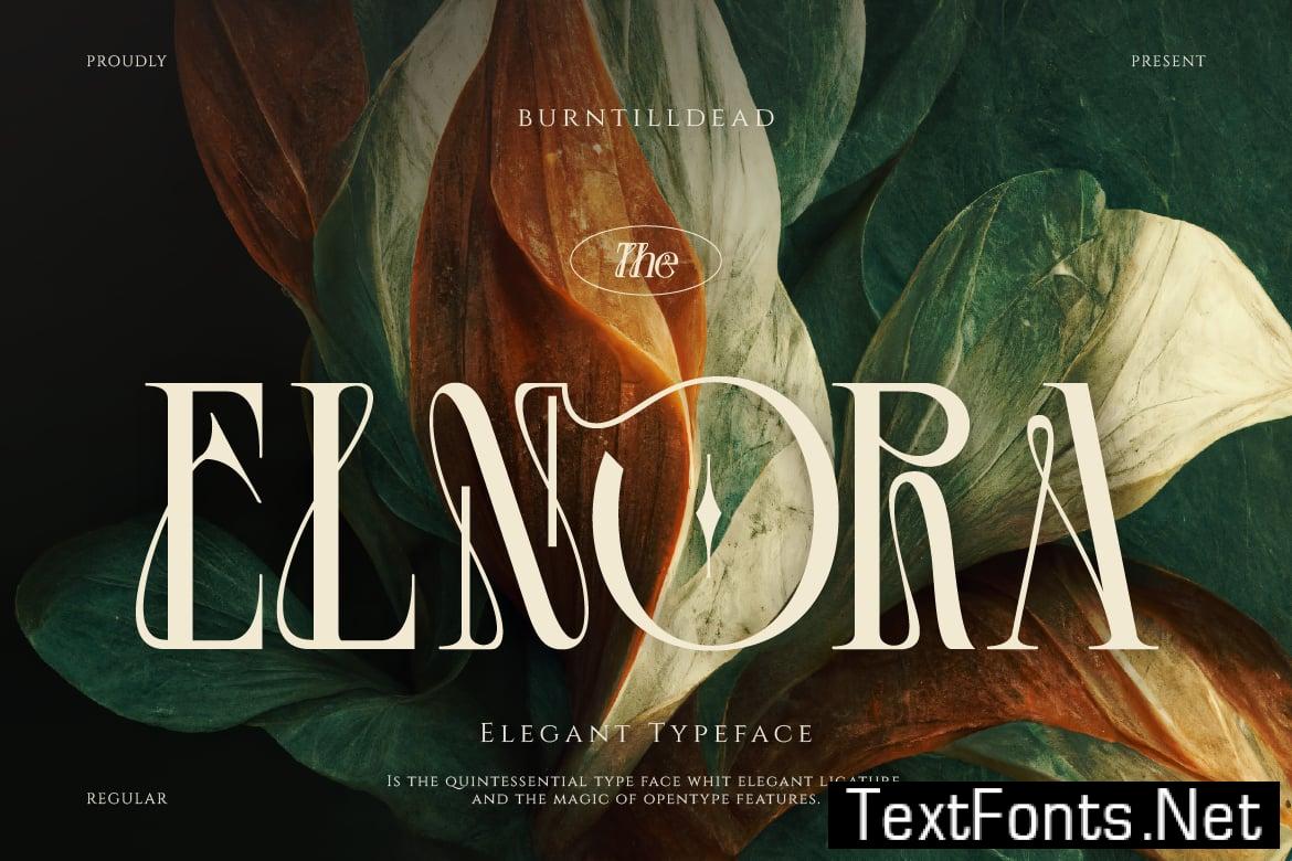 Elnora QQCNL7M