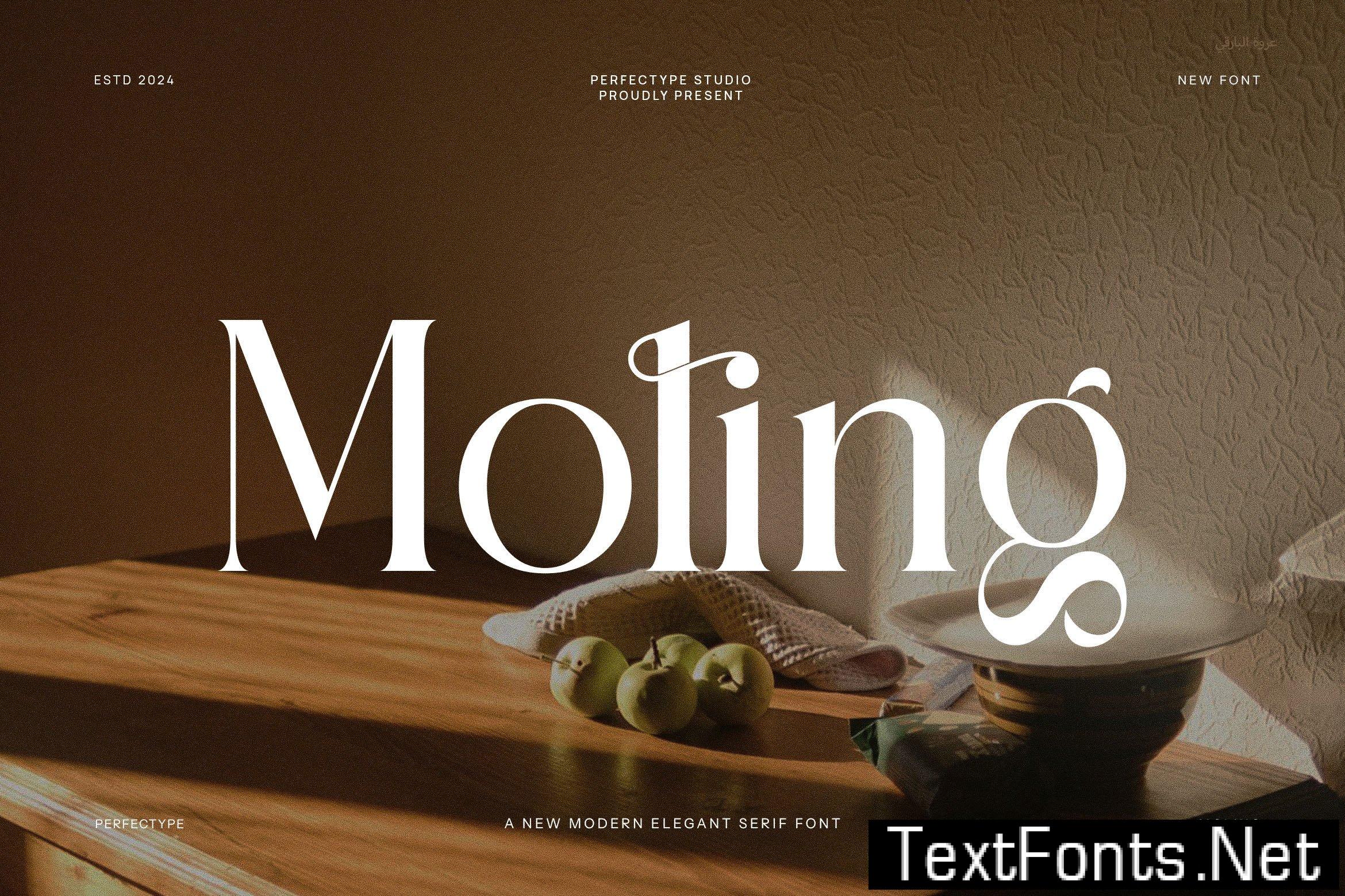 Moling Modern Serif Font 33FJYCF