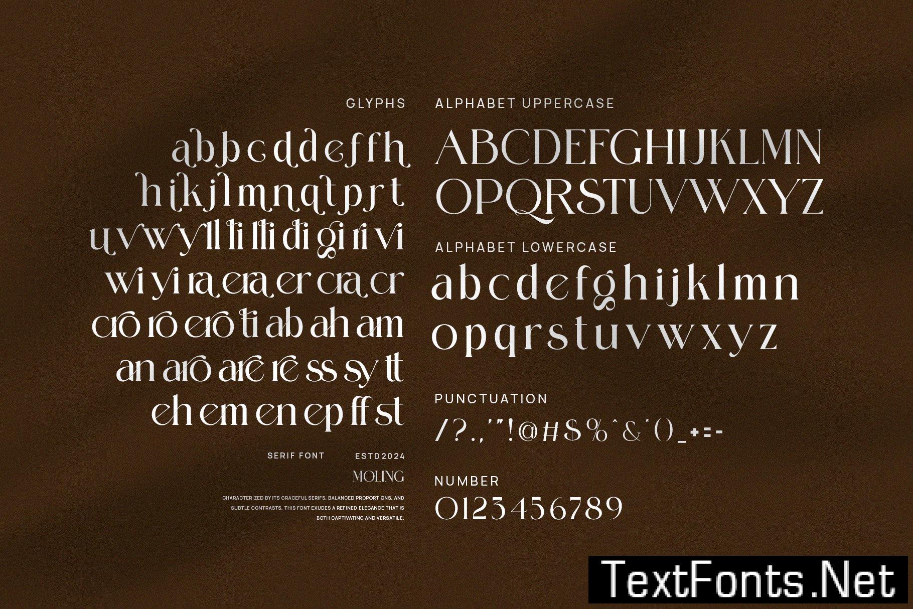 Moling Modern Serif Font 33FJYCF
