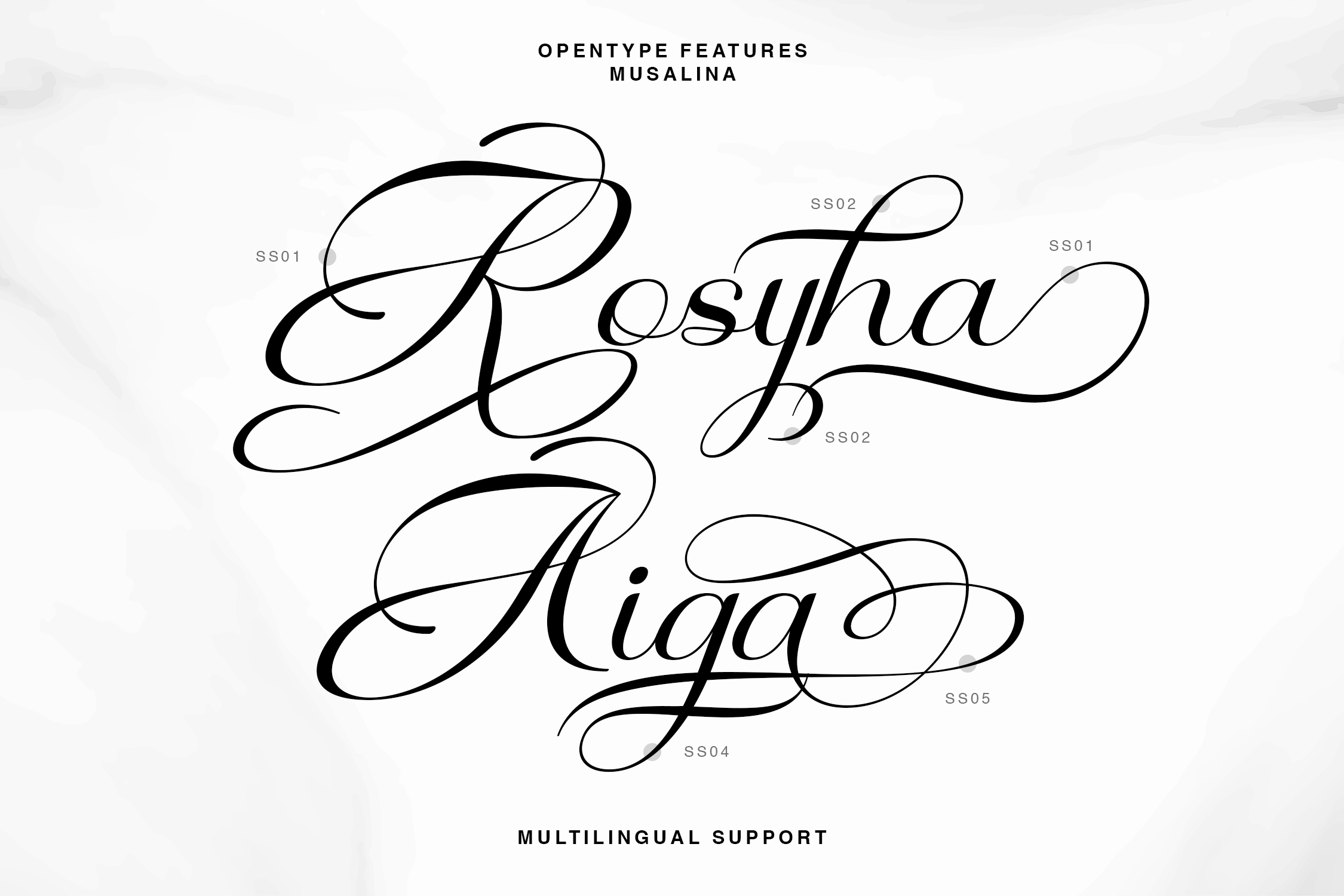 Musalina Calligraphy Script 2Y6HLH9