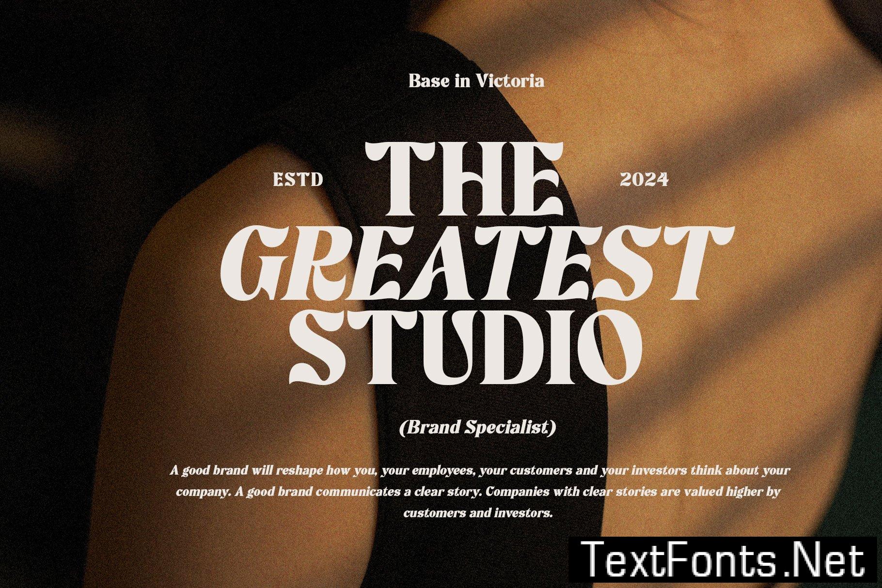 Rochega Bold Modern Serif Font 233UL8X