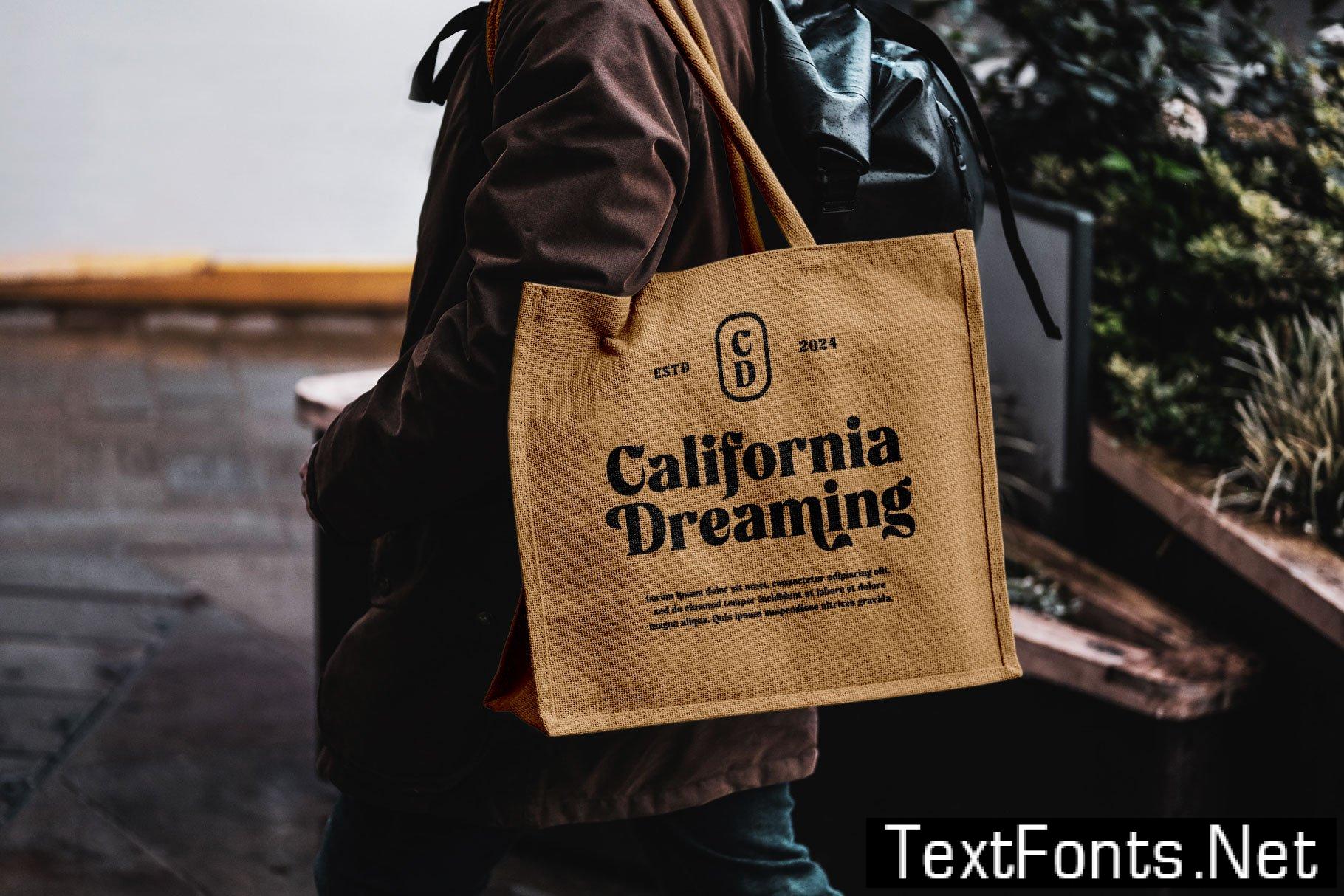 Rochega Bold Modern Serif Font 233UL8X