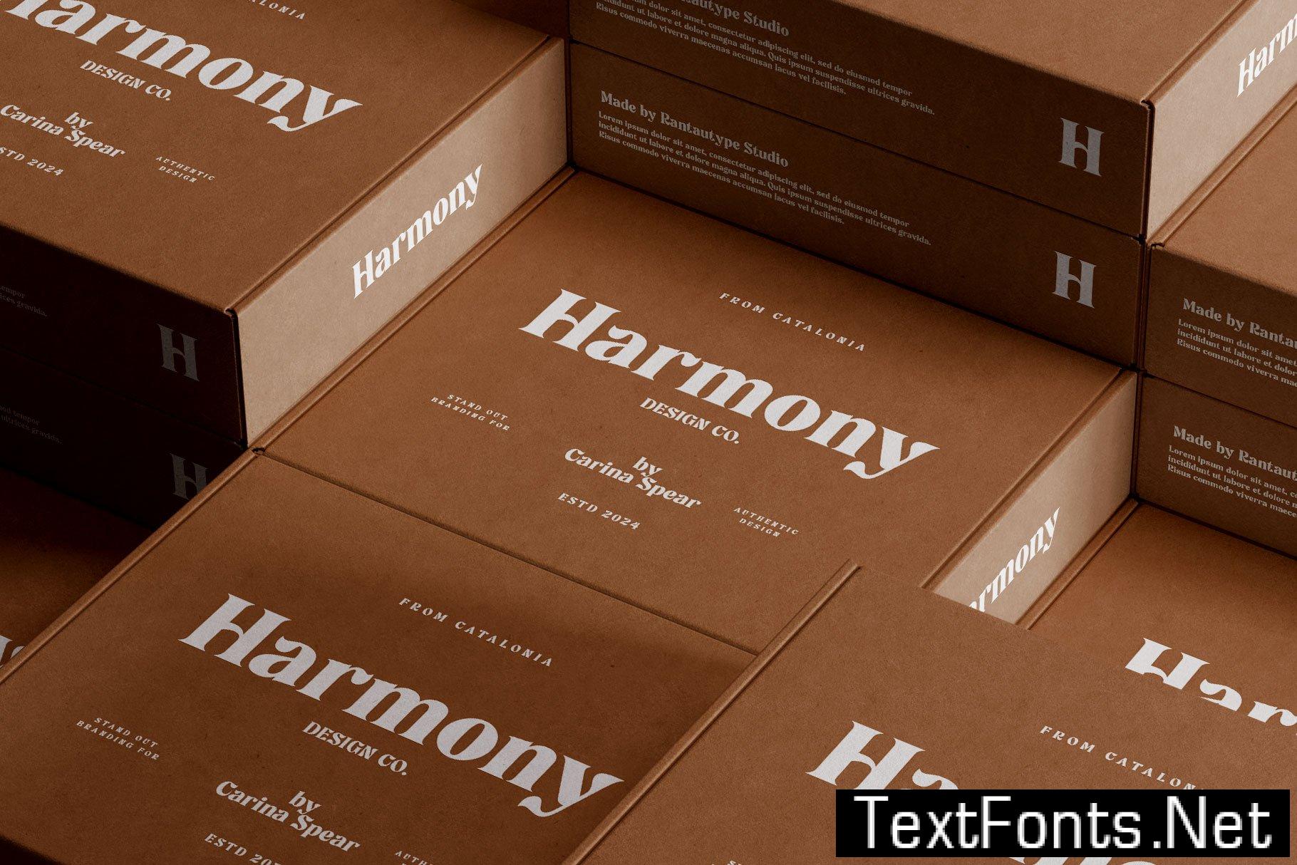 Rochega Bold Modern Serif Font 233UL8X