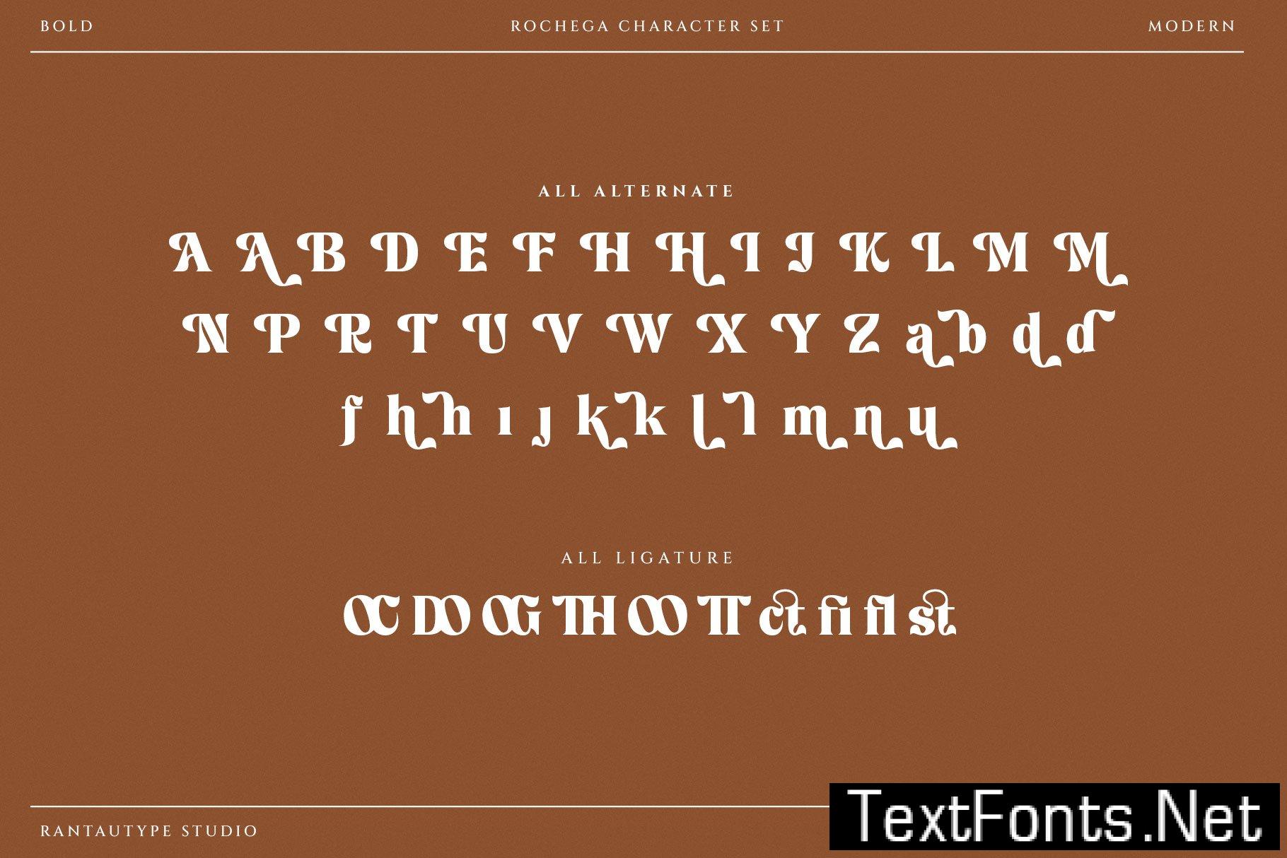 Rochega Bold Modern Serif Font 233UL8X