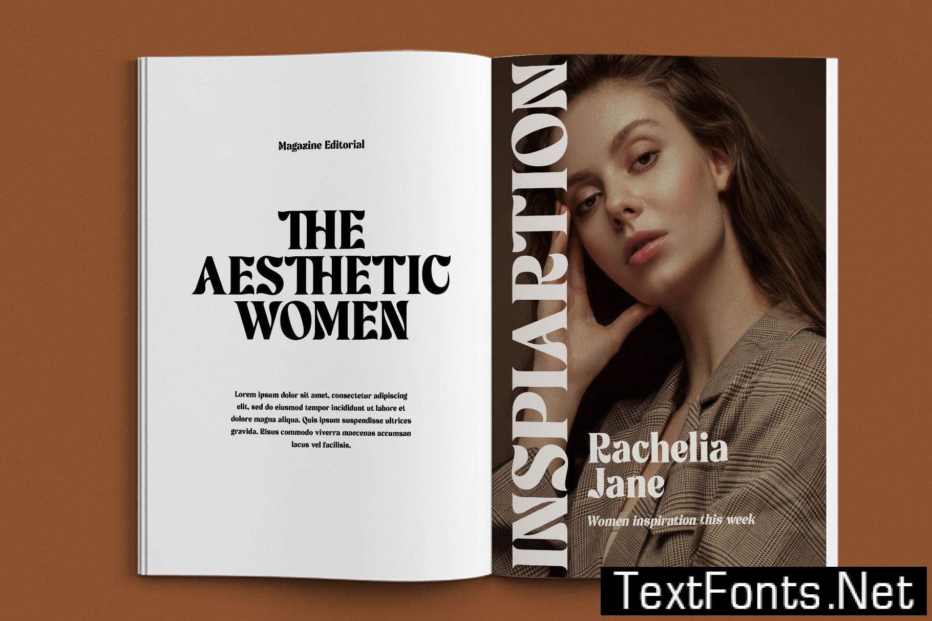 Rochega Bold Modern Serif Font 233UL8X