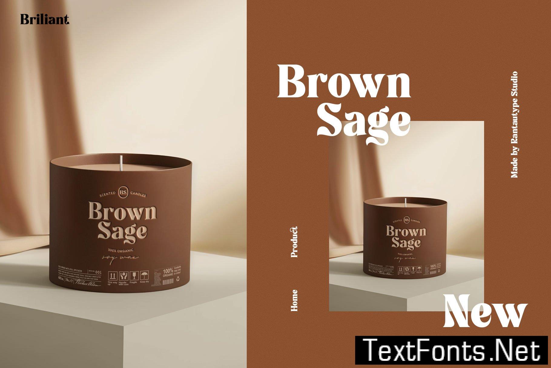 Rochega Bold Modern Serif Font 233UL8X