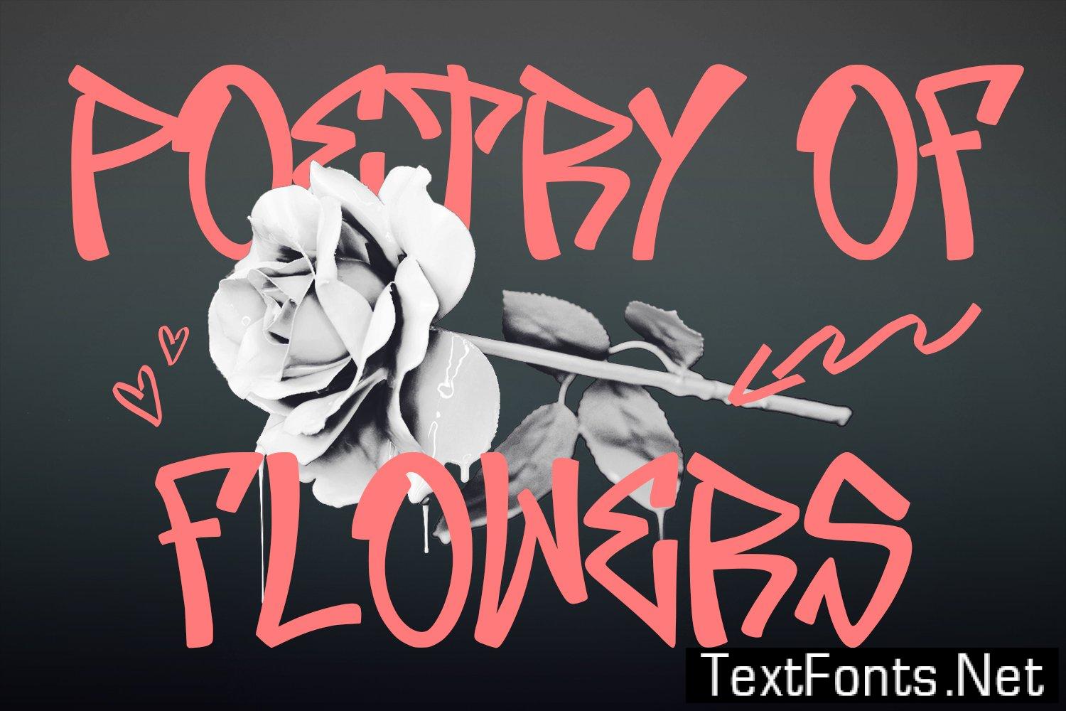 Zeettzy Graffiti Display Font 7K9DQWS